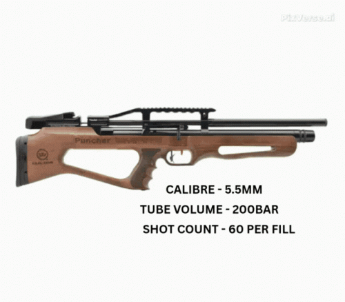 pcp AIR RIFLES